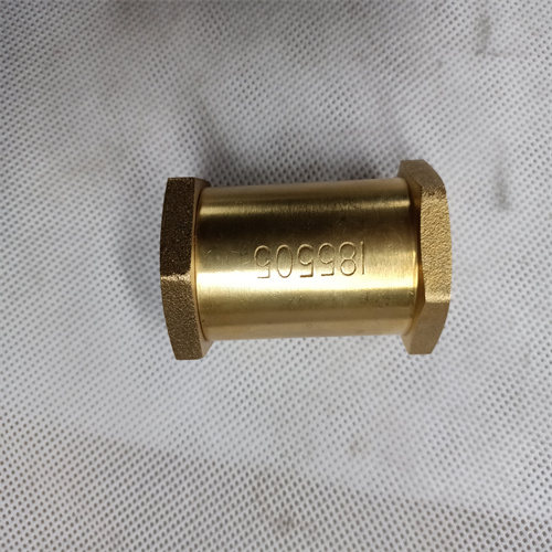 Check Valve